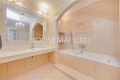 11321small.jpg