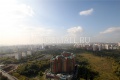 12110small.jpg
